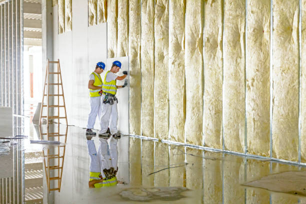 Best Residential Insulation in Delavan, IL